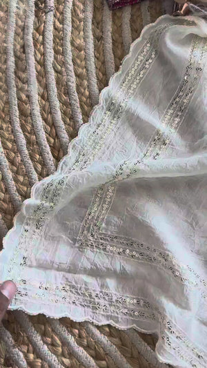 Peachmode Pink Tana Bana Saree with Multi Embroidery Work - Video 2