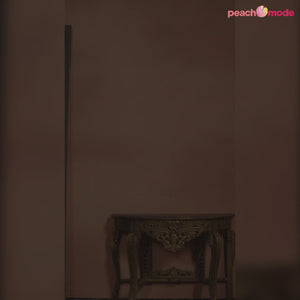 Peach Sequins Embroidered Georgette Semi Stitched Salwar Suit