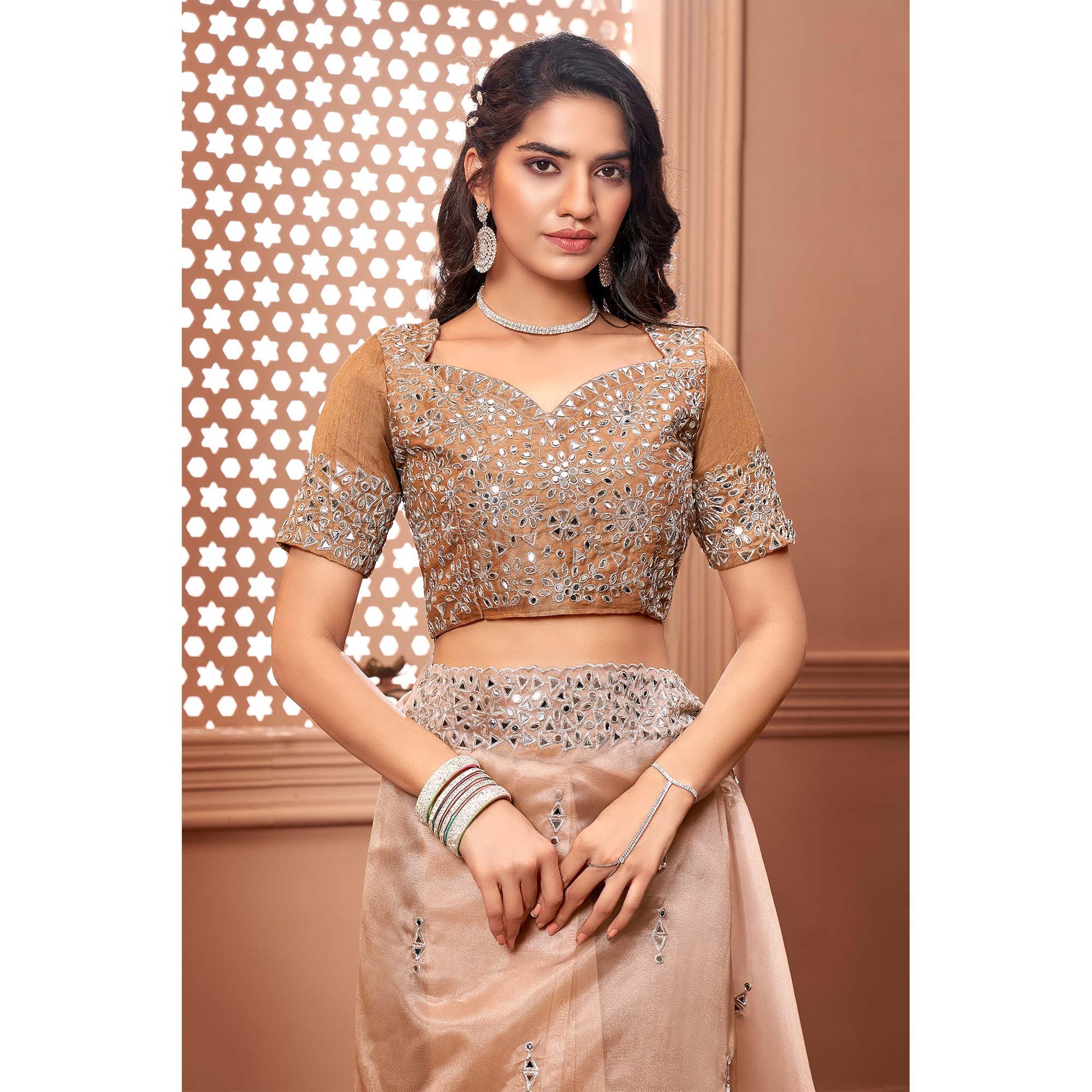 Brown Partywear Mirror Work Embroidered Organza Saree - Peachmode