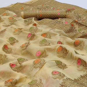 Chikoo Woven Organza Saree - Peachmode