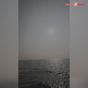 Violet & Light Blue Woven Satin Saree With Tassels