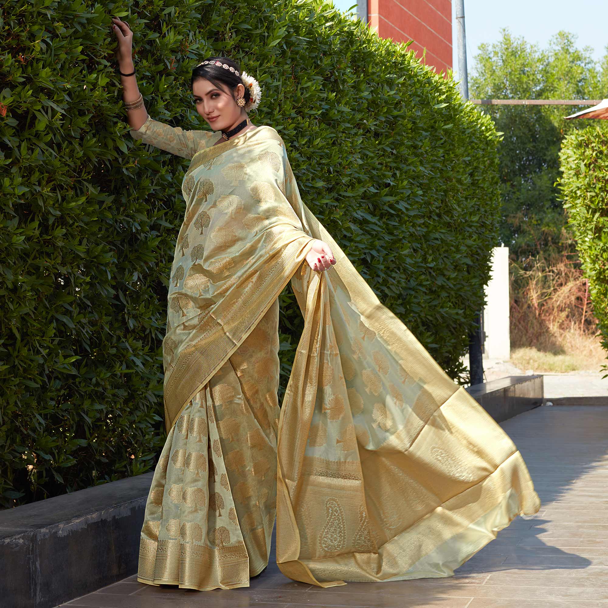 Chikoo Woven Organza Saree