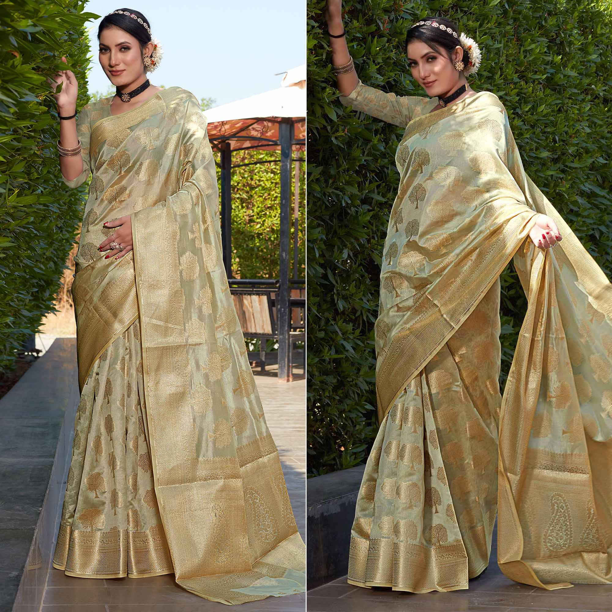 Chikoo Woven Organza Saree