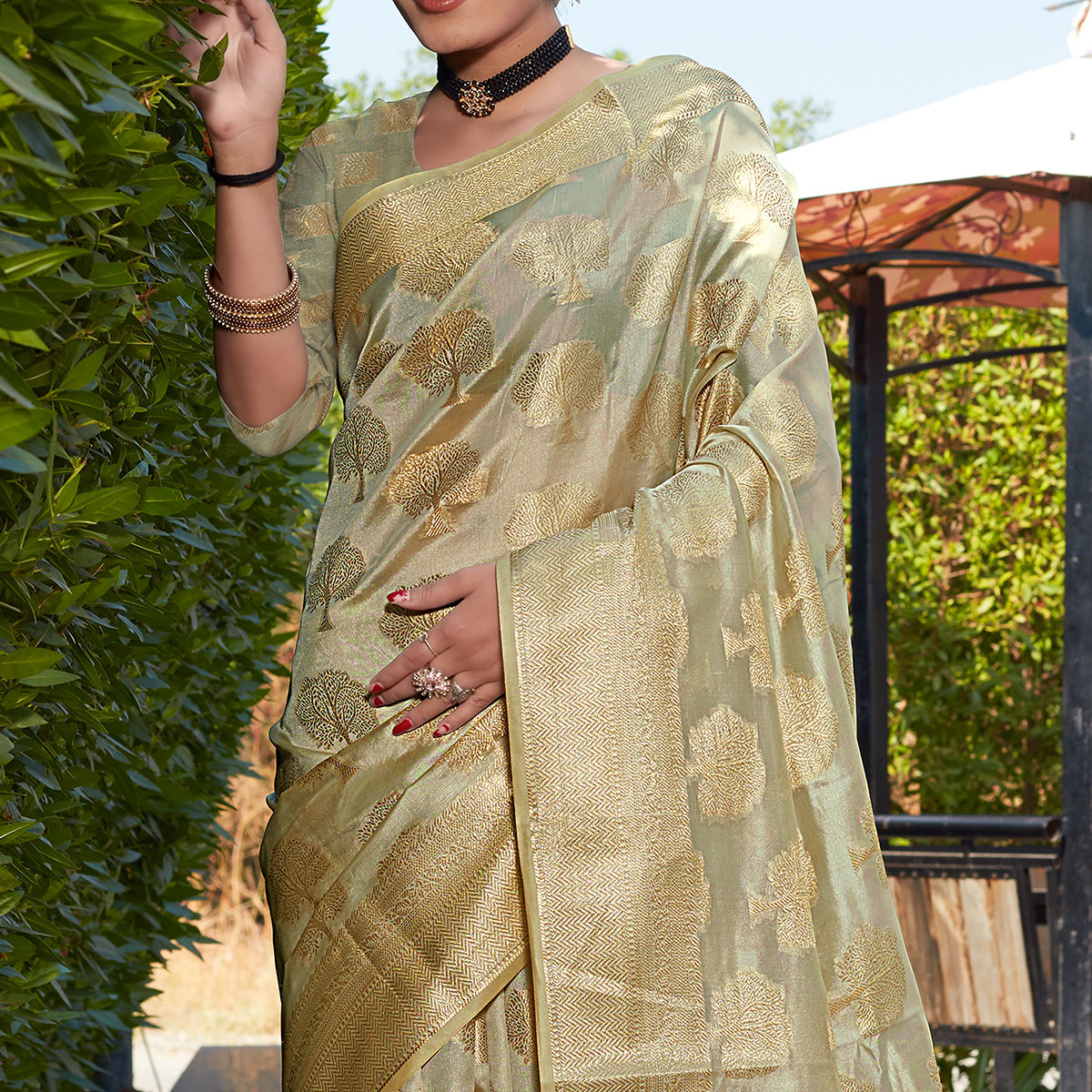 Chikoo Woven Organza Saree