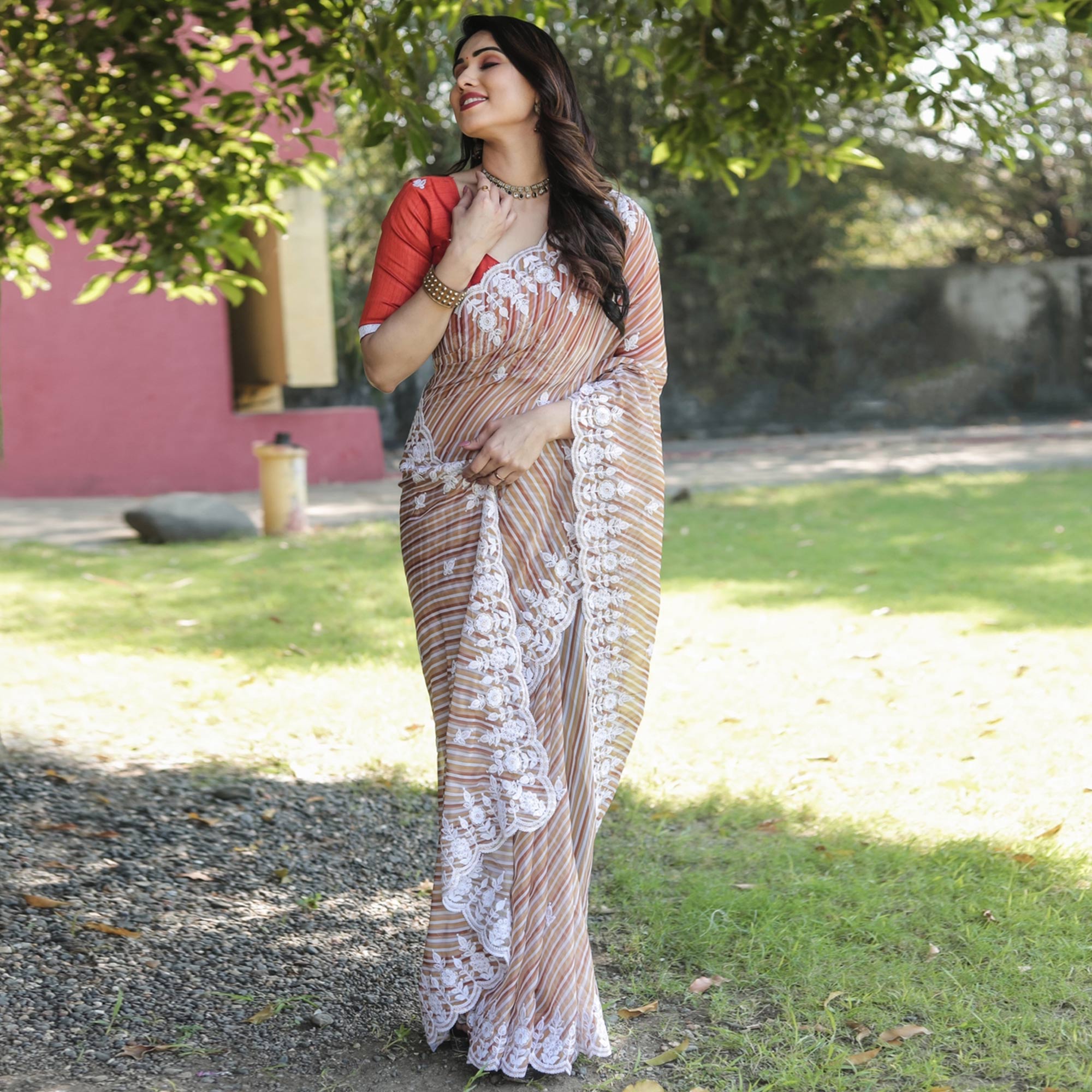 Brown Digital Printed With Embroidered Organza Saree