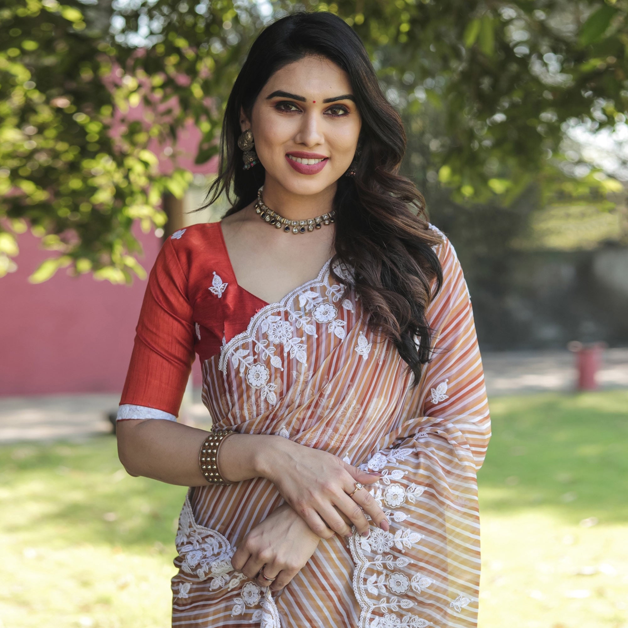 Brown Digital Printed With Embroidered Organza Saree