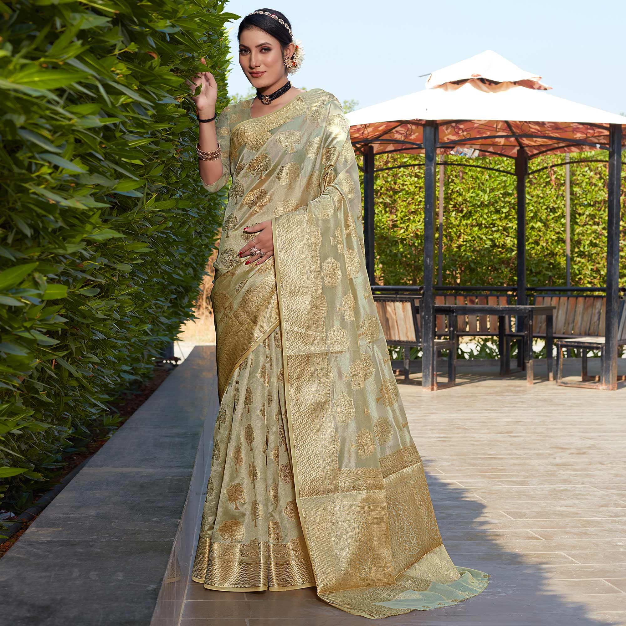 Chikoo Woven Organza Saree